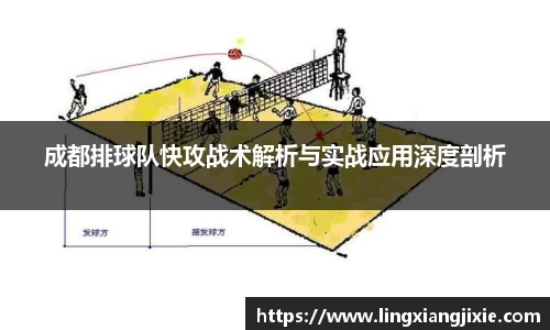 成都排球队快攻战术解析与实战应用深度剖析