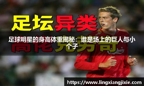 bb贝博艾弗森官方网站