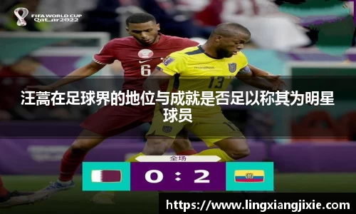 汪蒿在足球界的地位与成就是否足以称其为明星球员