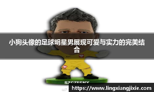 小狗头像的足球明星男展现可爱与实力的完美结合